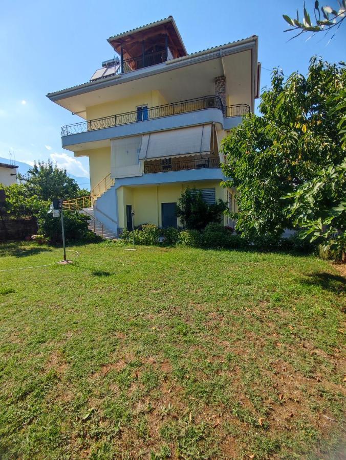 Cheerful 2 Bedroom Villa With Free Parking. Gjirokaster Ngoại thất bức ảnh